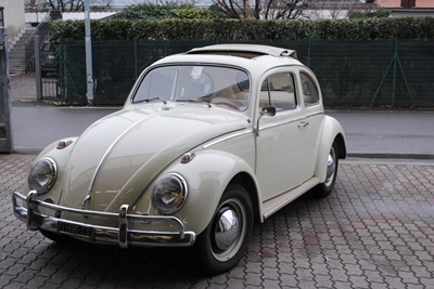 MAGGIOLINO 63